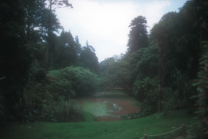 Lost Gardens of Heligan