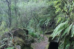 Wanderweg entlang des Kanals