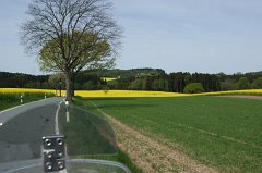 Vorherrschende Farben sind grün und gelb