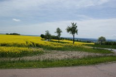 Besonders toll, wenn sie dann auch noch von schönen Kurven umsäumt werden