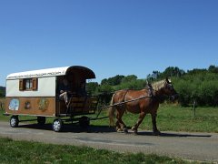 Einschwenken auf einen Parkplatz