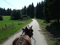 Weiter geht's auf ganz kleinen Straßen