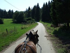 Weiter geht's auf ganz kleinen Straßen