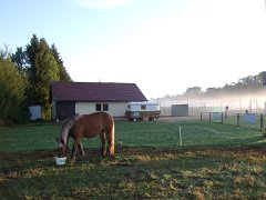 Morgenstimmung am Sportplatz